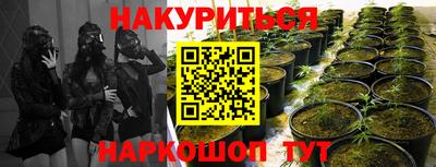 гидропоника Апшеронск