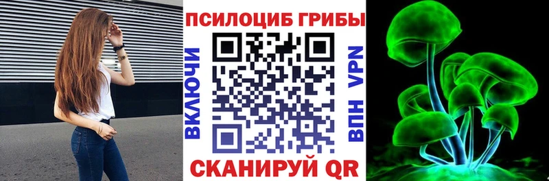 Галлюциногенные грибы Psilocybe  darknet формула  Дедовск 