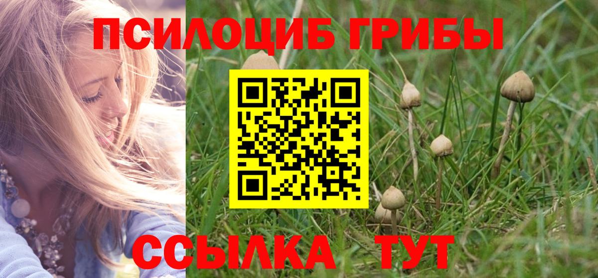 Псилоцибиновые грибы GOLDEN TEACHER Дедовск