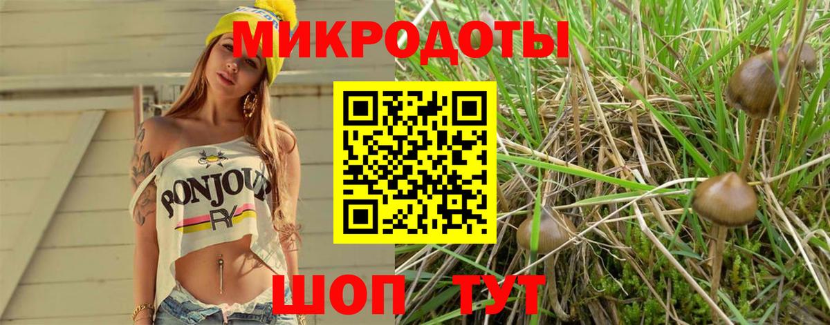 Дедовск  Галлюциногенные грибы Psilocybe  Вход с VPN 