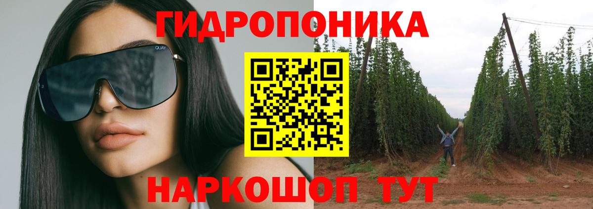 Бошки Шишки Amnesia  Дедовск  Шишки марихуана конопля  Канабис ГИДРОПОН 